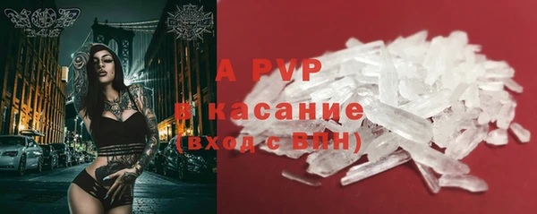 apvp Гусиноозёрск