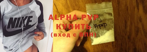 apvp Гусиноозёрск
