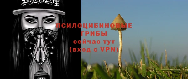apvp Гусиноозёрск