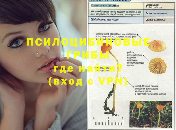 apvp Гусиноозёрск