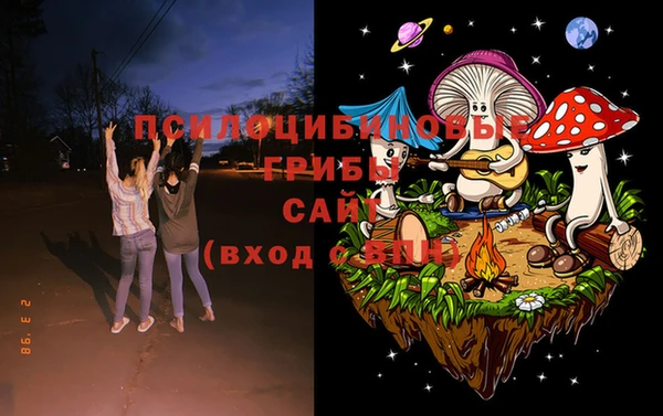 mix Гусь-Хрустальный
